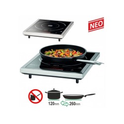 ΕΠΑΓΩΓΙΚΗ ΕΣΤΙΑ 105848 BARTSCHER IK20TC ΤΙΜΗ