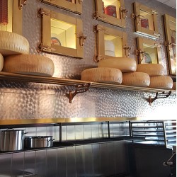 ΧΟΝΤΡΟΣ ΛΙΓΝΟΣ ΧΑΜΠΟΥΡΓΚΕΡΑΔΙΚΟΝ ΠΑΛΑΙΟ ΦΑΛΗΡΟ